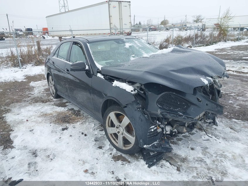 WDDHF9HB7EA891858 2014 Mercedes-Benz E 250 Bluetec 4Matic auction photo 1