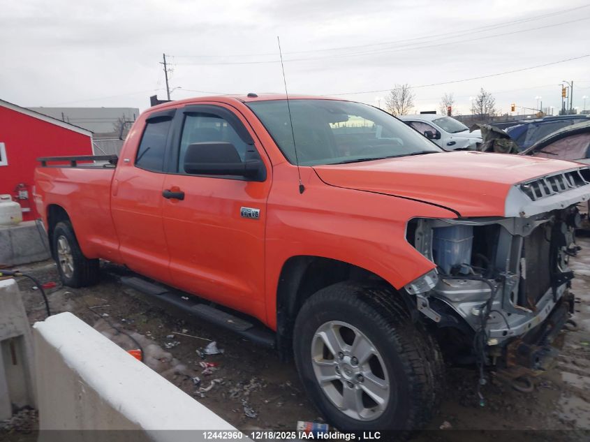 2019 Toyota Tundra Double Cab Sr/Double Cab Sr5 VIN: 5TFCY5F14KX024413 Lot: 12442960