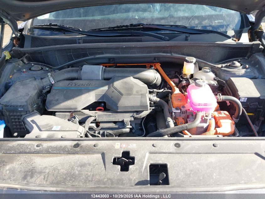 2023 Hyundai Santa Fe Luxury Hybrid Awd VIN: KM8S5DA12PU082739 Lot: 12443003