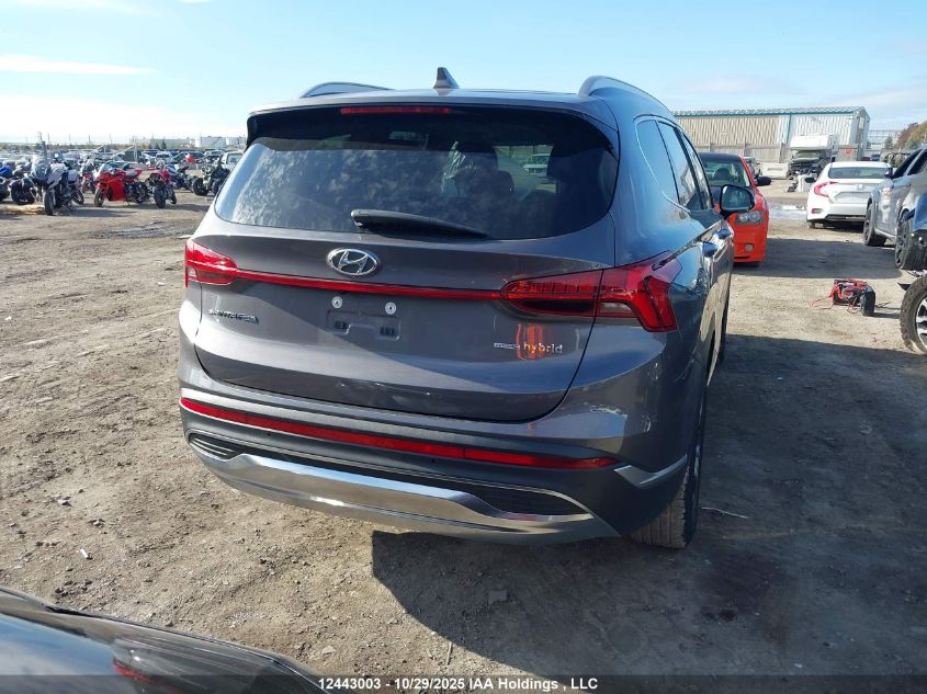 2023 Hyundai Santa Fe Luxury Hybrid Awd VIN: KM8S5DA12PU082739 Lot: 12443003