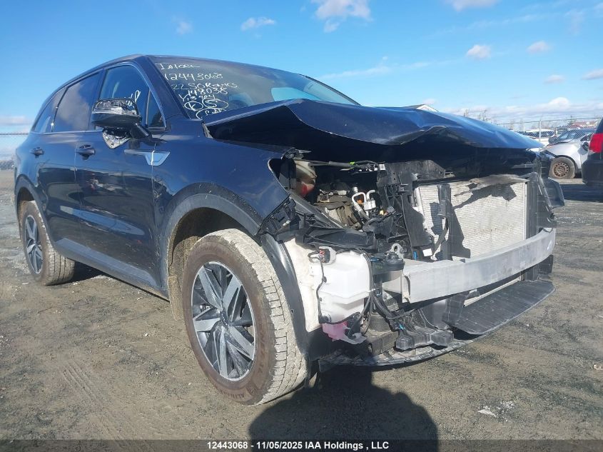 2022 Kia Sorento 2.5L Lx Premium/2.5L Lx+ VIN: 5XYRGDLC4NG148038 Lot: 12443068