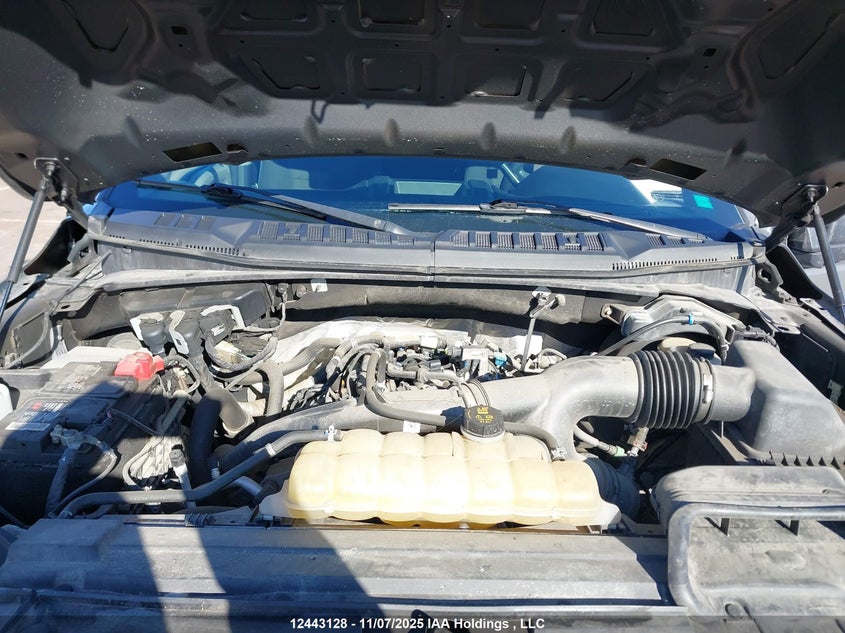 1FTEW1EP1LFC43981 2020 FORD F-150 photo no. 10