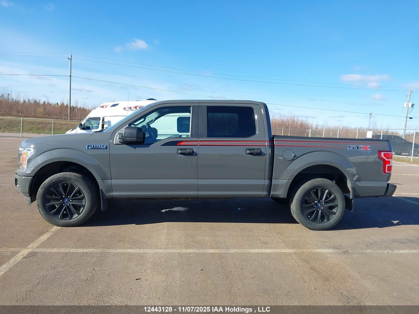 1FTEW1EP1LFC43981 2020 FORD F-150 photo no. 14
