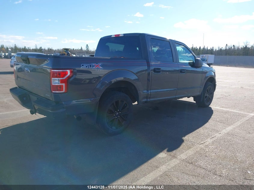 1FTEW1EP1LFC43981 2020 FORD F-150 photo no. 4