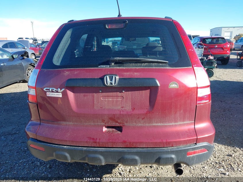 5J6RE48319L807194 2009 HONDA CR-V photo no. 16