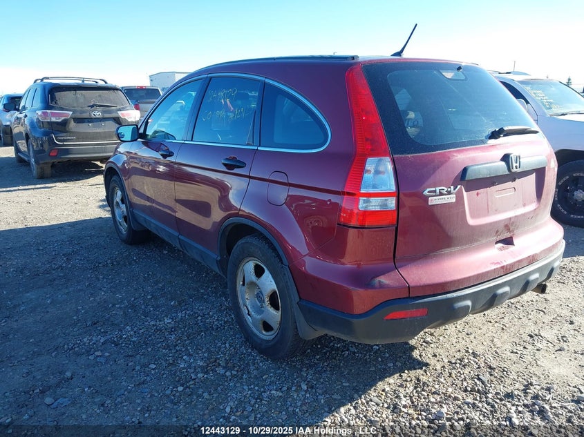 5J6RE48319L807194 2009 HONDA CR-V photo no. 3