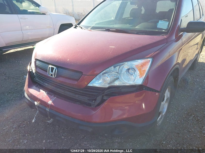 5J6RE48319L807194 2009 HONDA CR-V photo no. 6