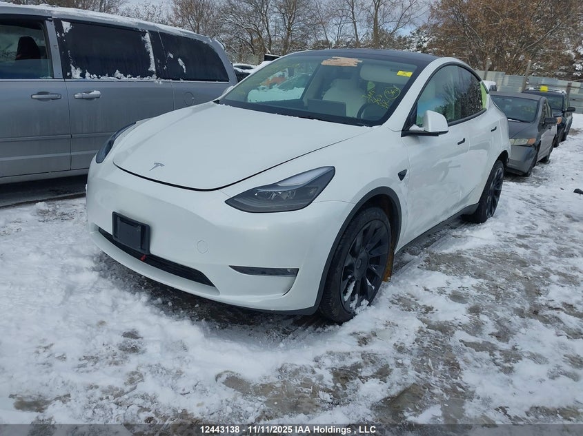 7SAYGDEEXRF991087 2024 TESLA MODEL Y photo no. 2