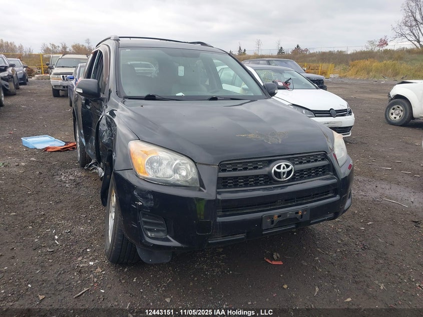2T3BF4DVXAW032407 2010 TOYOTA RAV 4 photo no. 7