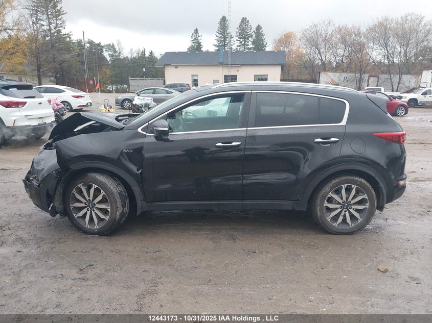 KNDPNCAC5H7251397 2017 KIA SPORTAGE photo no. 15