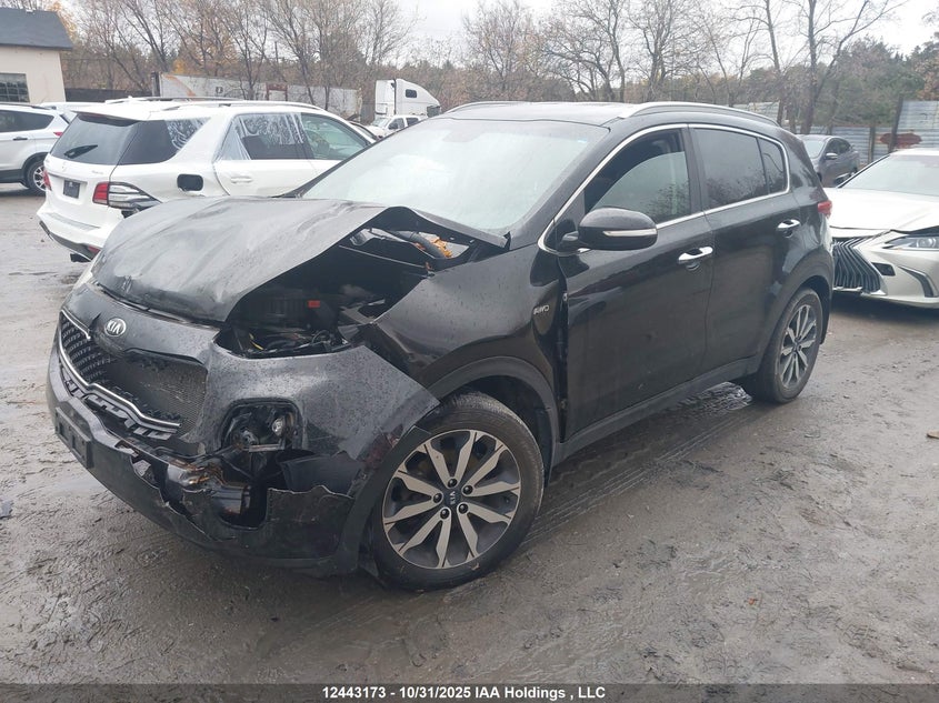 KNDPNCAC5H7251397 2017 KIA SPORTAGE photo no. 2