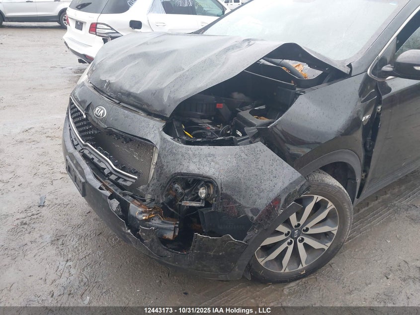 KNDPNCAC5H7251397 2017 KIA SPORTAGE photo no. 6
