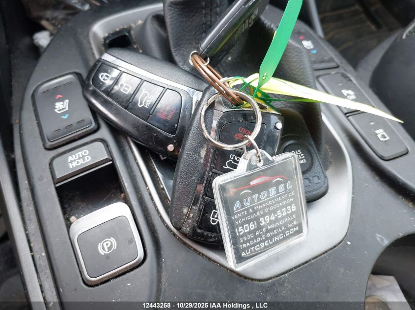 2017 Hyundai Santa Fe Sport VIN: 5XYZUDLA7HG397672 Lot: 12443258