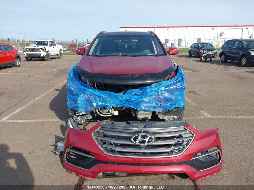 2017 Hyundai Santa Fe Sport VIN: 5XYZUDLA7HG397672 Lot: 12443258