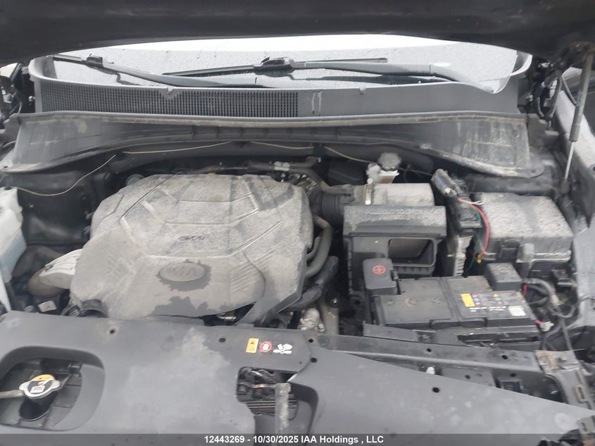 2020 Kia Sorento 3.3L Black Line/3.3L Lx+ VIN: 5XYPGDA59LG658751 Lot: 12443269