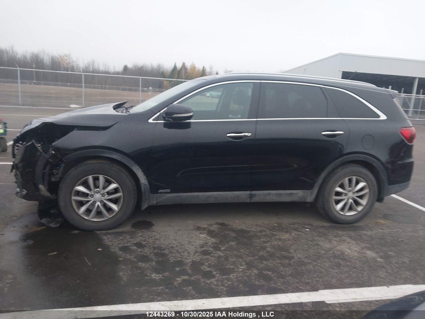 2020 Kia Sorento 3.3L Black Line/3.3L Lx+ VIN: 5XYPGDA59LG658751 Lot: 12443269