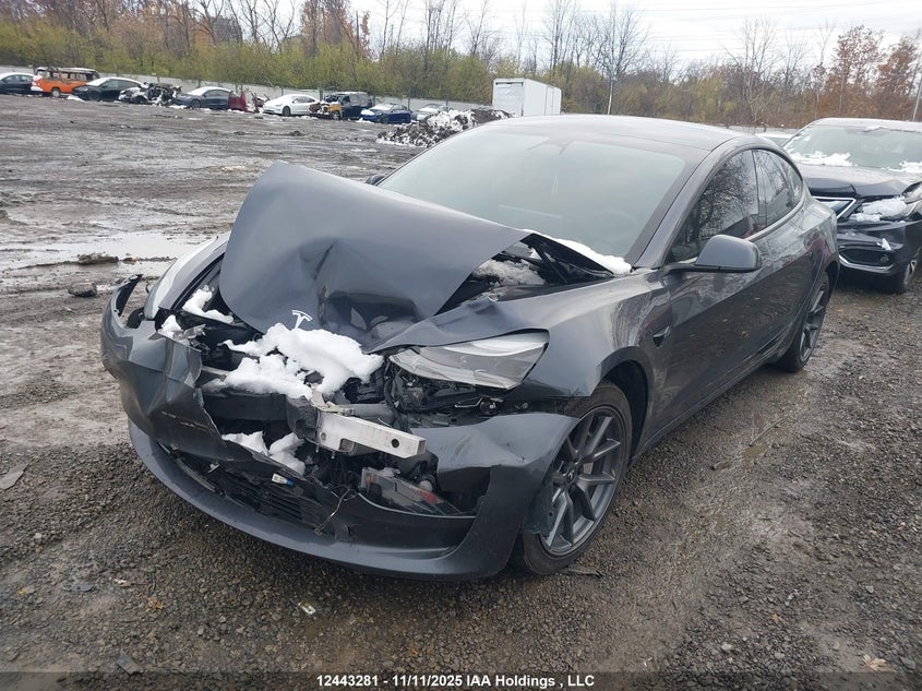 5YJ3E1EB9PF415974 2023 TESLA MODEL 3 photo no. 2