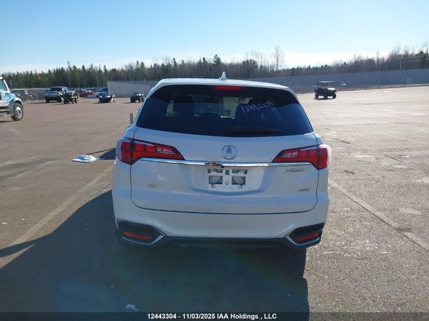 2017 Acura Rdx Technology VIN: 5J8TB4H51HL810120 Lot: 12443304