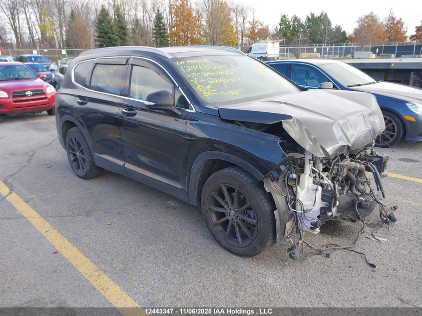 5NMS5CAA8LH266471 2020 Hyundai Santa Fe Limited/Ultimate auction photo 1