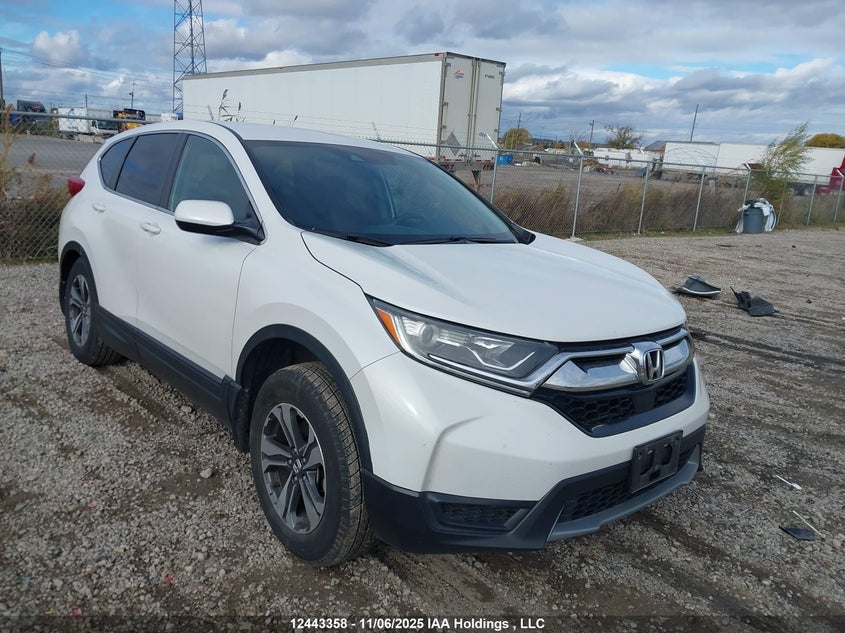2HKRW2H23KH152366 HONDA CR-V Photo 1
