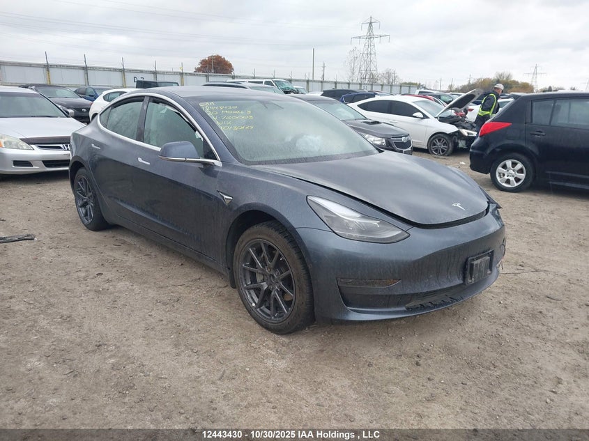 5YJ3E1EA8LF780003 2020 Tesla Model 3 auction photo 1