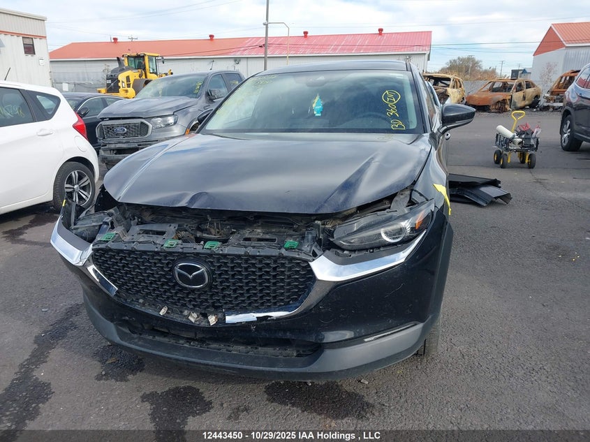 2023 Mazda Cx-30 Gs VIN: 3MVDMBCM8PM547877 Lot: 12443450