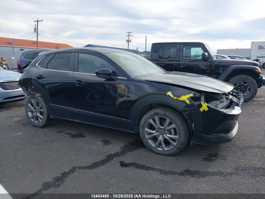 2023 Mazda Cx-30 Gs VIN: 3MVDMBCM8PM547877 Lot: 12443450