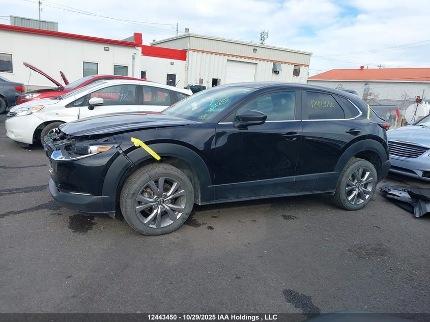 2023 Mazda Cx-30 Gs VIN: 3MVDMBCM8PM547877 Lot: 12443450