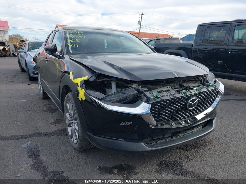 2023 Mazda Cx-30 Gs VIN: 3MVDMBCM8PM547877 Lot: 12443450