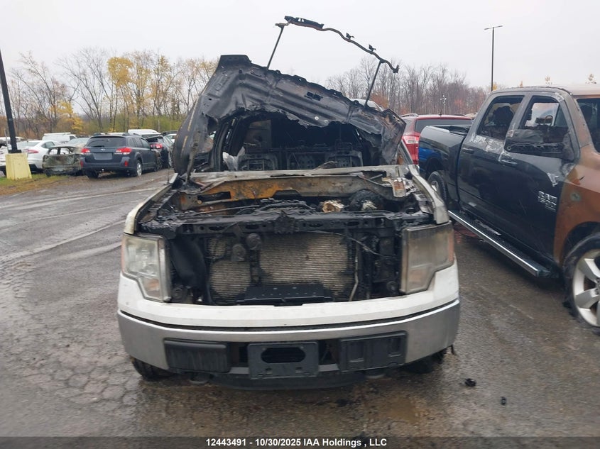 1FTFW1ET4CFB97113 2012 FORD F-150 photo no. 11