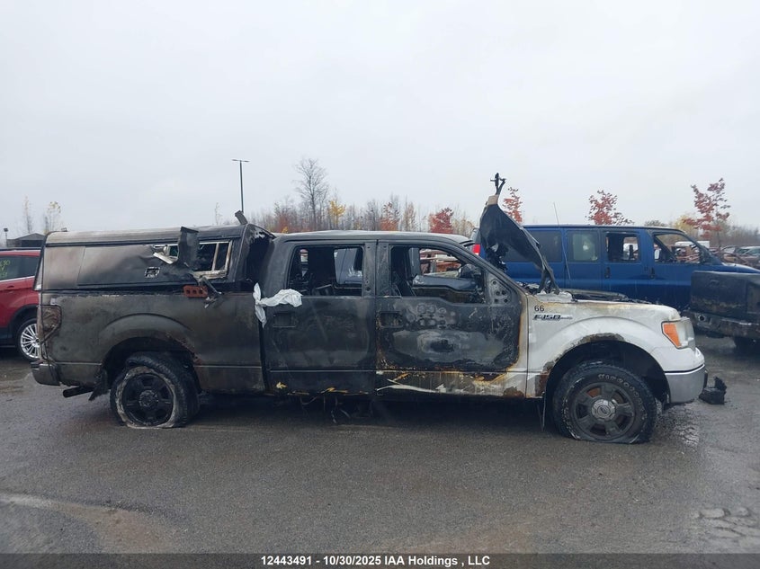 1FTFW1ET4CFB97113 2012 FORD F-150 photo no. 12