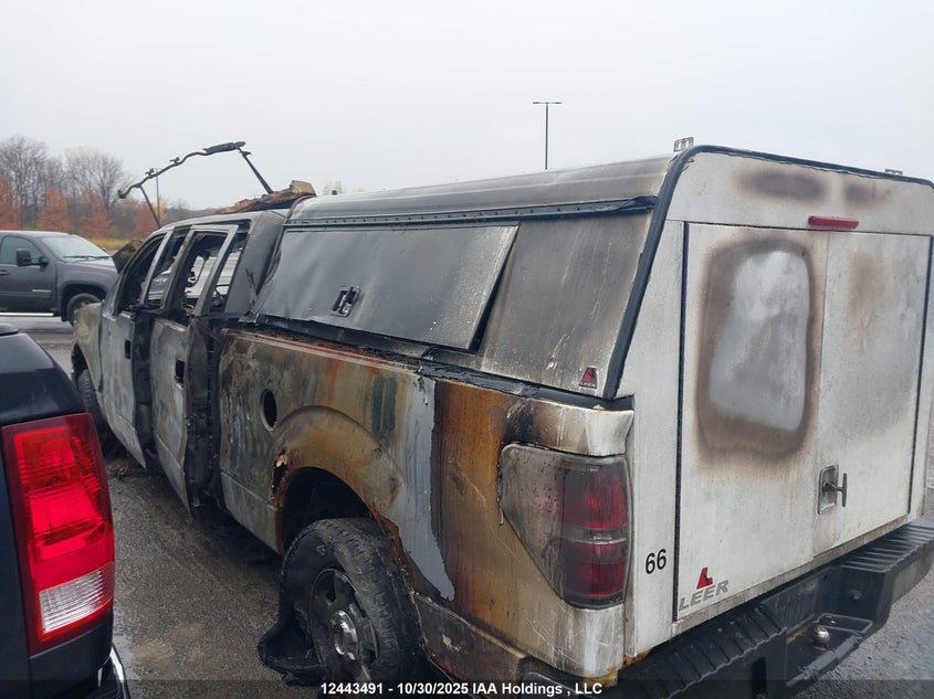 1FTFW1ET4CFB97113 2012 FORD F-150 photo no. 13