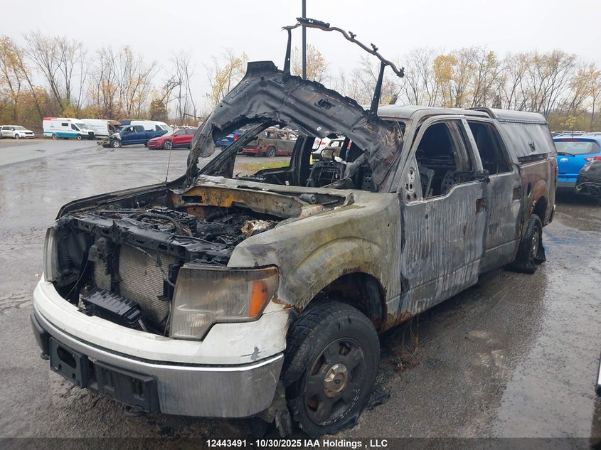 1FTFW1ET4CFB97113 2012 FORD F-150 photo no. 2