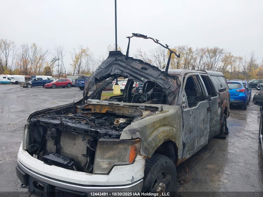 1FTFW1ET4CFB97113 2012 FORD F-150 photo no. 6