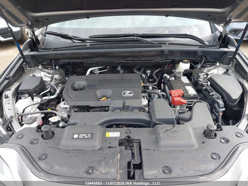 2025 Lexus Nx 250 VIN: 2T2ADCEZ0SC006161 Lot: 12443503
