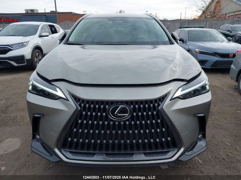 2025 Lexus Nx 250 VIN: 2T2ADCEZ0SC006161 Lot: 12443503
