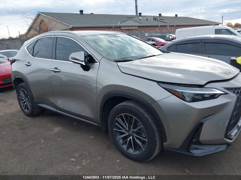 2025 Lexus Nx 250 VIN: 2T2ADCEZ0SC006161 Lot: 12443503