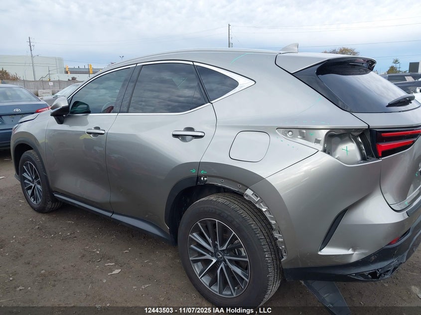 2025 Lexus Nx 250 VIN: 2T2ADCEZ0SC006161 Lot: 12443503