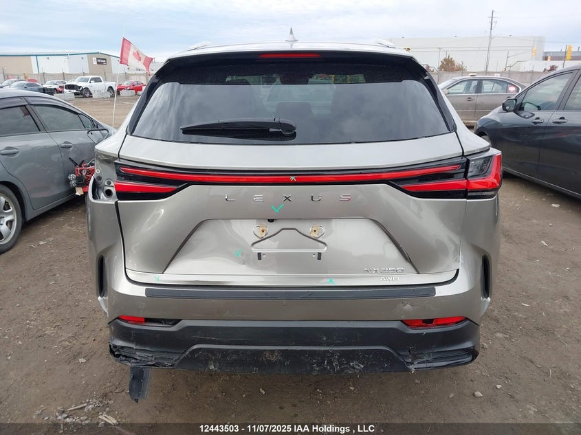 2025 Lexus Nx 250 VIN: 2T2ADCEZ0SC006161 Lot: 12443503