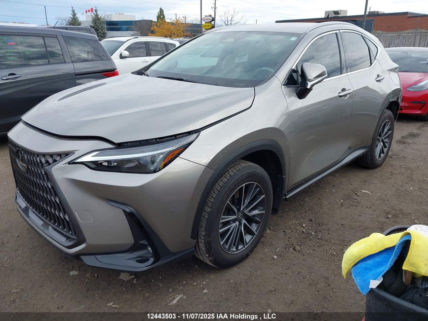 2T2ADCEZ0SC006161 2025 LEXUS NX photo no. 2
