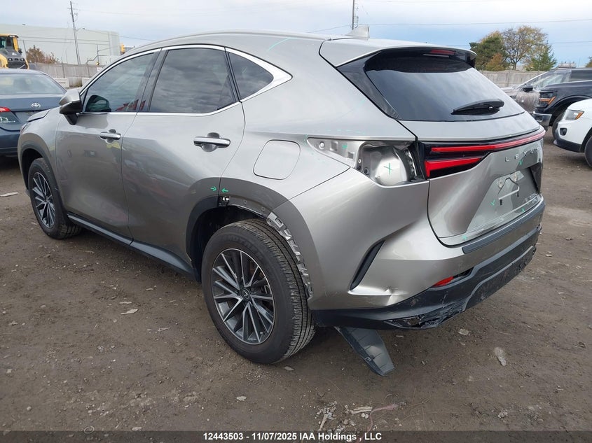 2T2ADCEZ0SC006161 2025 LEXUS NX photo no. 3
