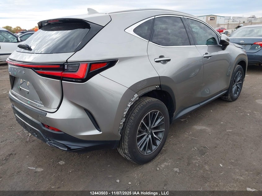 2T2ADCEZ0SC006161 2025 LEXUS NX photo no. 4