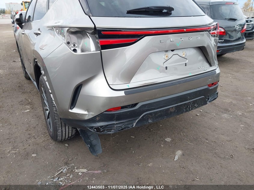 2025 Lexus Nx 250 VIN: 2T2ADCEZ0SC006161 Lot: 12443503