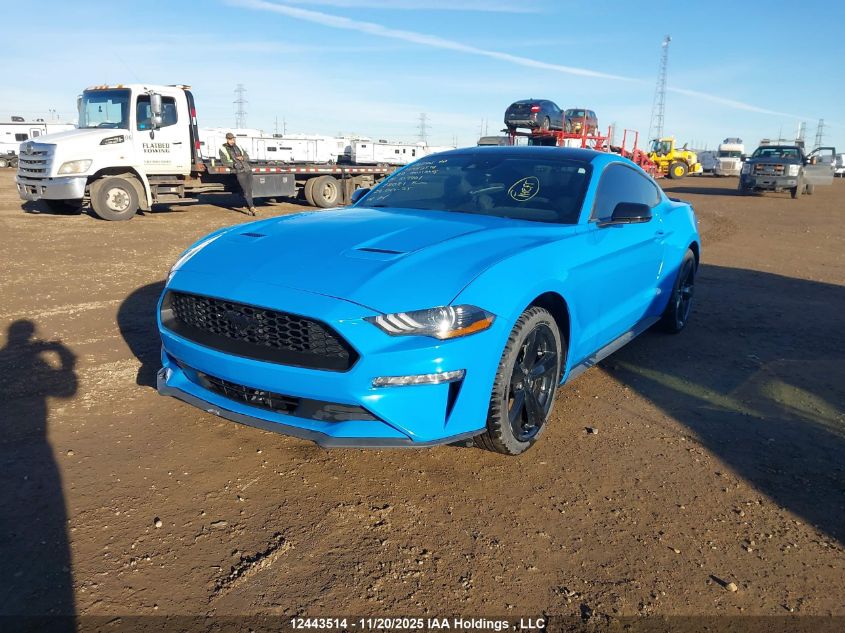 2022 Ford Mustang VIN: 1FA6P8TH5N5109401 Lot: 12443514