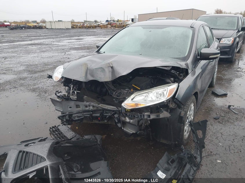 2014 Ford Focus Se VIN: 1FADP3F2XEL401543 Lot: 12443526