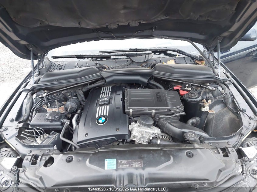 2009 BMW 535 Xi VIN: WBANV93519C133412 Lot: 12443528