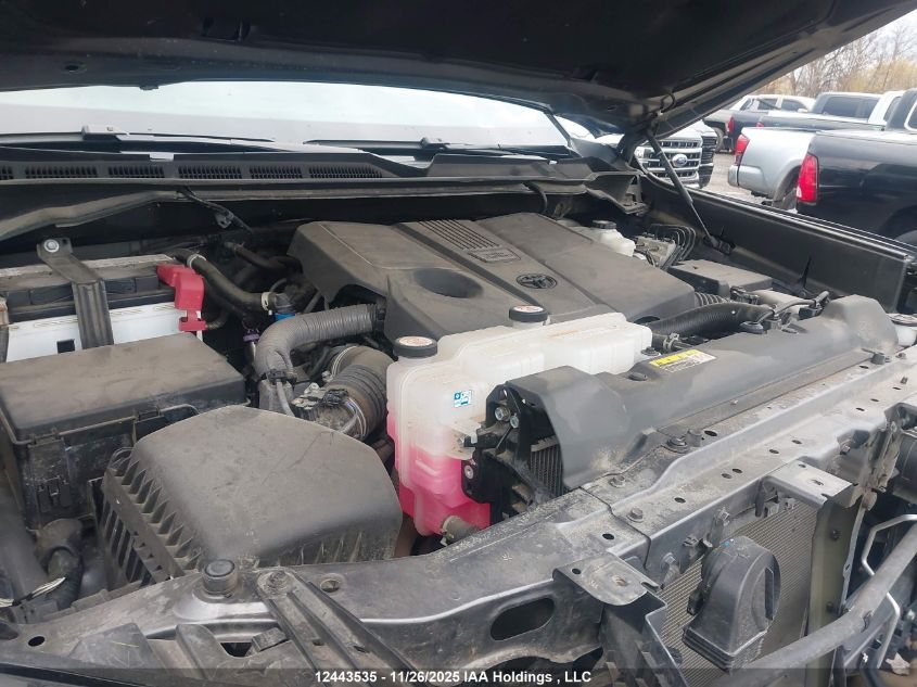 2023 Toyota Tundra VIN: 5TFLA5DB3PX128981 Lot: 12443535