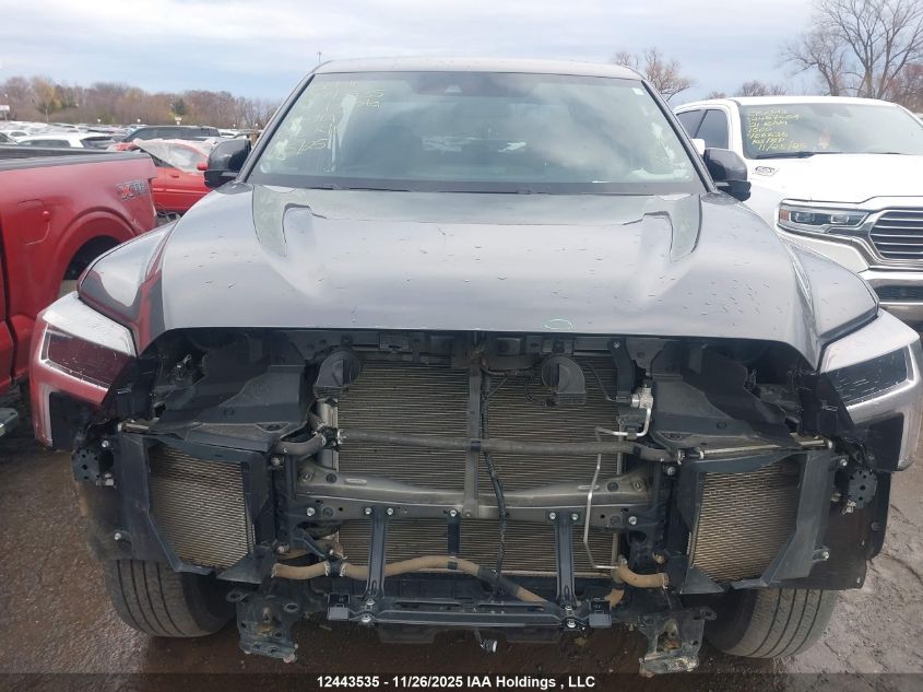 2023 Toyota Tundra VIN: 5TFLA5DB3PX128981 Lot: 12443535