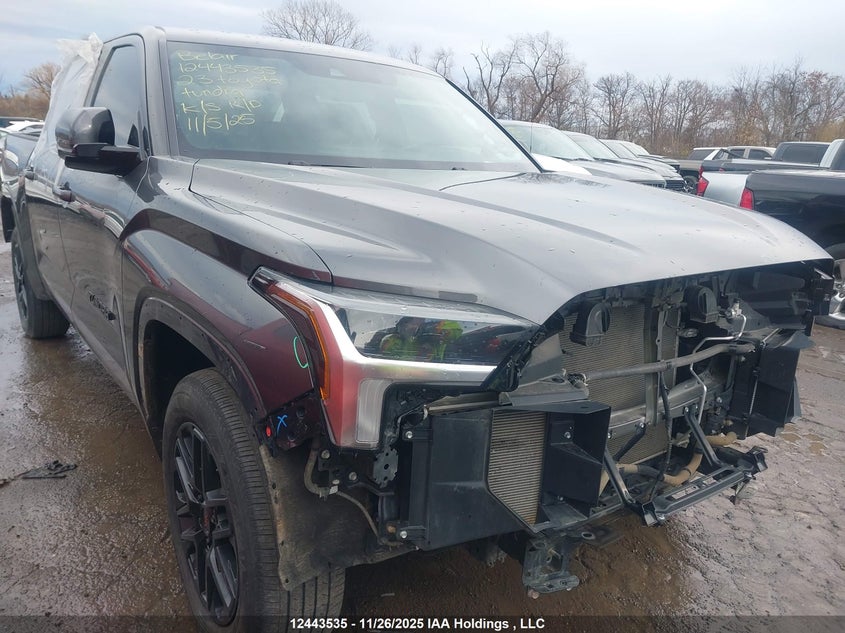 2023 Toyota Tundra VIN: 5TFLA5DB3PX128981 Lot: 12443535