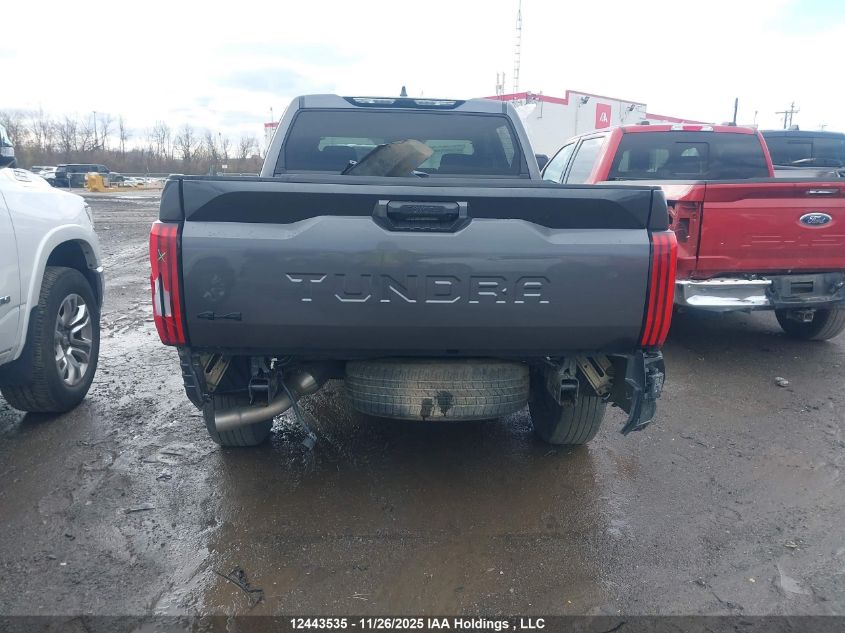 2023 Toyota Tundra VIN: 5TFLA5DB3PX128981 Lot: 12443535